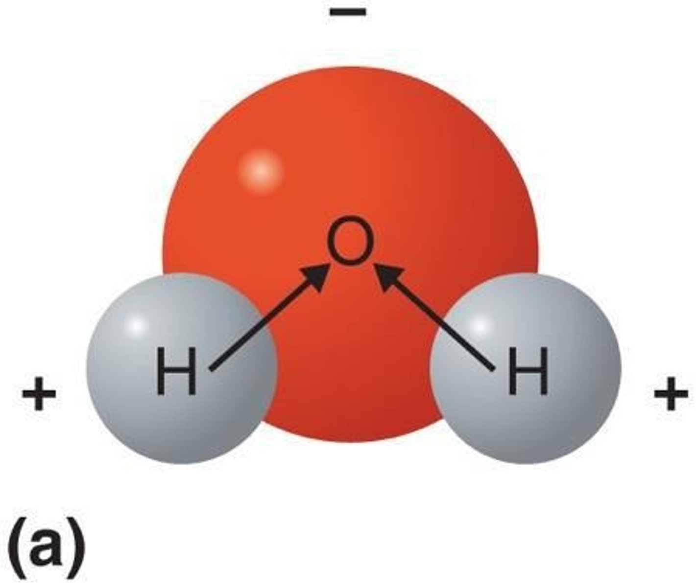 <p>A compound consisting of two atoms of hydrogen and one atom of oxygen (H2O).</p>