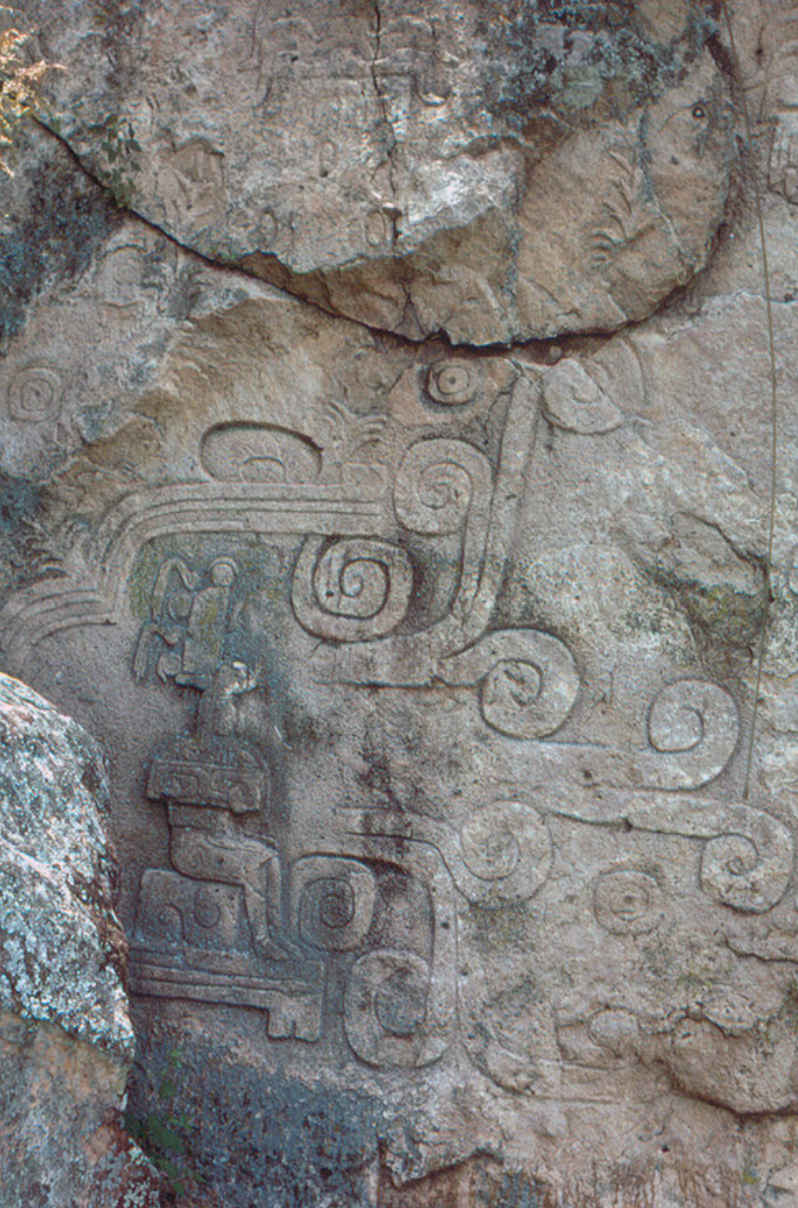 term image