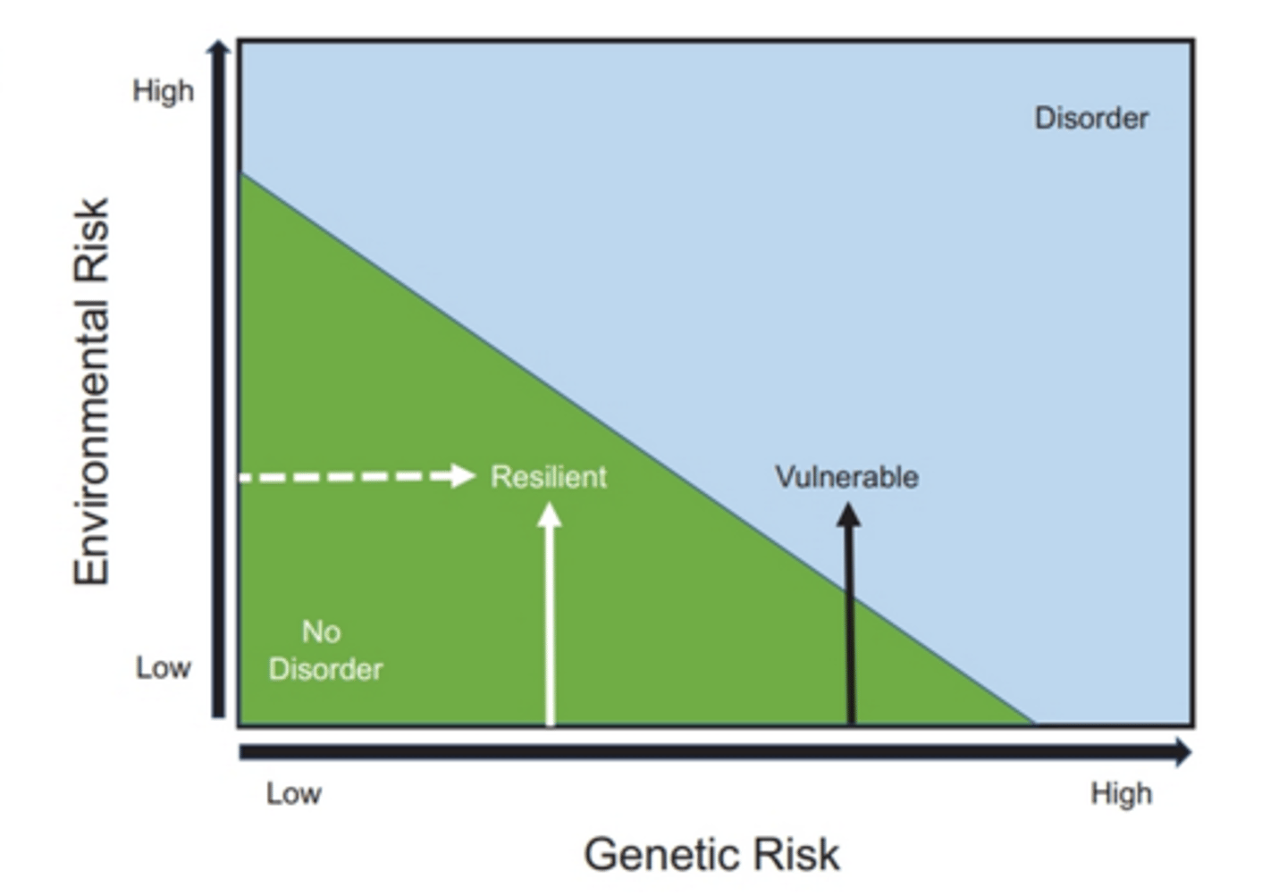 <p>A model of disease risk whereby an individual's vulnerability to develop a mental illness is a function of their genetic risk (i.e., diathesis) and exposure to adverse life events (i.e., stress).</p>