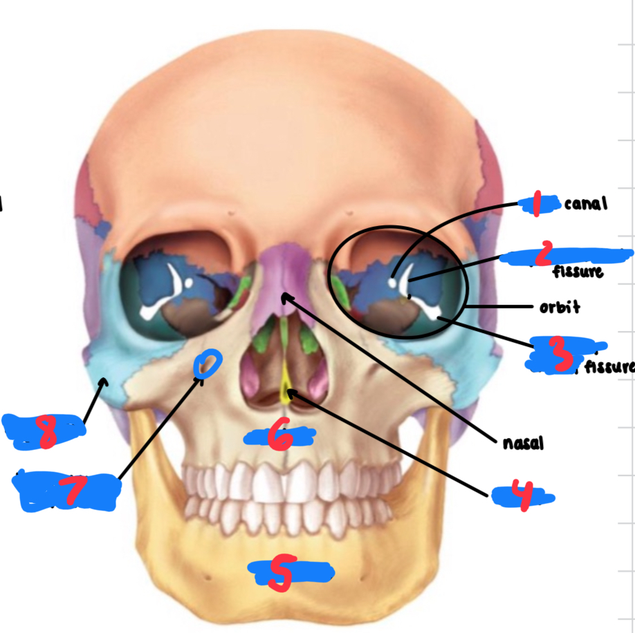 <p>6</p>