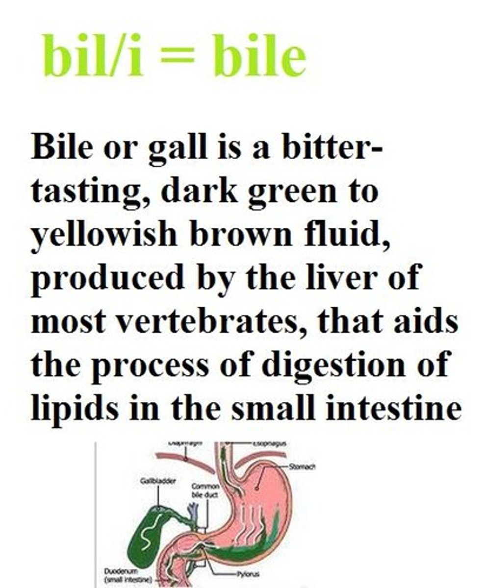 <p>bile</p>
