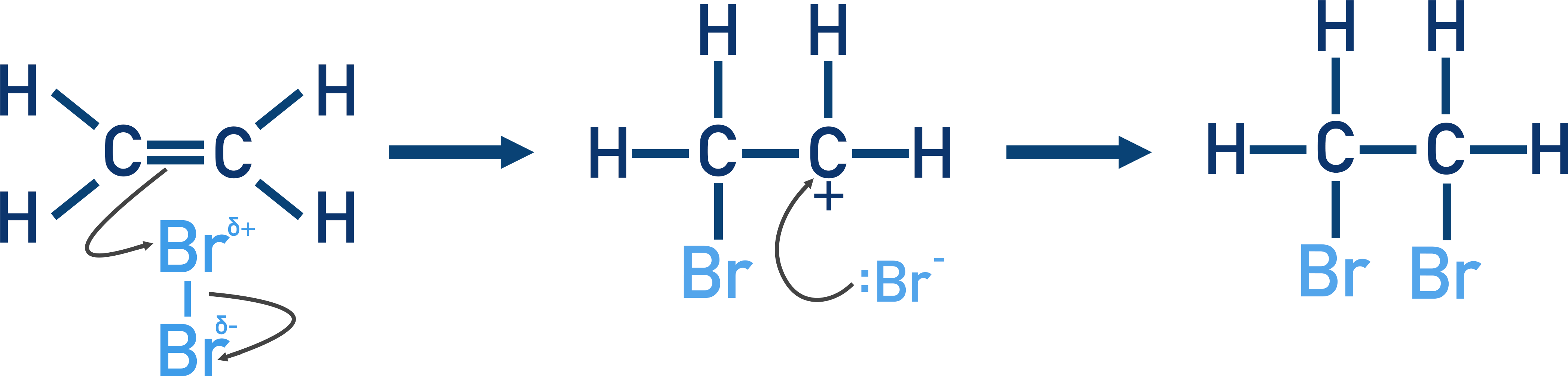 <ol><li><p>Non-polar halogen molecule </p></li><li><p>Induced dipole in halogen </p></li><li><p>Halogen acts as electrophile </p></li><li><p>Pi bond of C=C bond breaks </p></li><li><p>Forms dative covalent bond with positive end of Br molecule </p></li><li><p>Br-Br bond breaks - heterolytic fission</p></li><li><p>Carbocation intermediate formed</p></li><li><p>Lone pair of electrons on bromide ion forms dative covalent bond with the C of carbocation</p></li></ol><p></p>