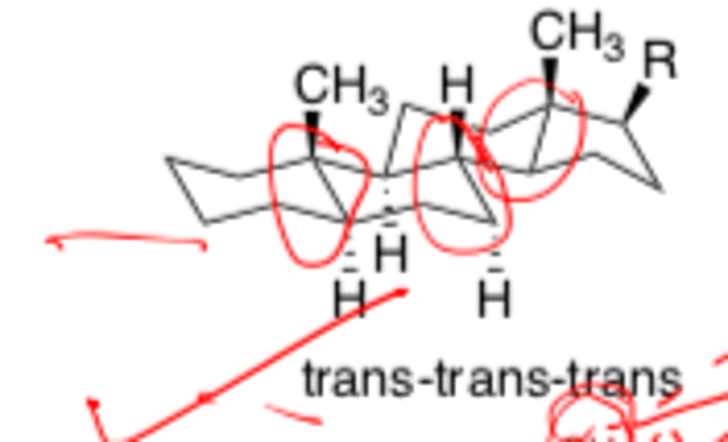 <p>- all-trans (backbone)</p>