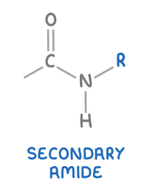 <p><span><strong><span>These are amides where the nitrogen atom is bonded to one carbonyl group (C=O), one hydrogen atom and one alkyl or aryl group</span></strong></span></p>