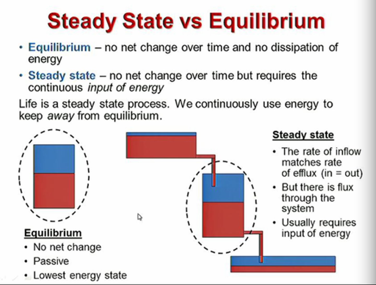 <p>When a system's input equal outputs, so that the system is not changing over time</p>