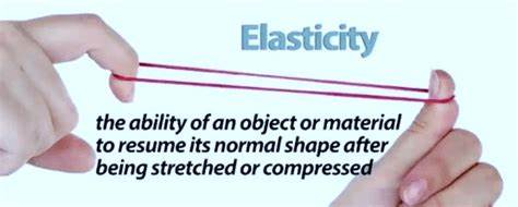 <p>define elasticity </p>