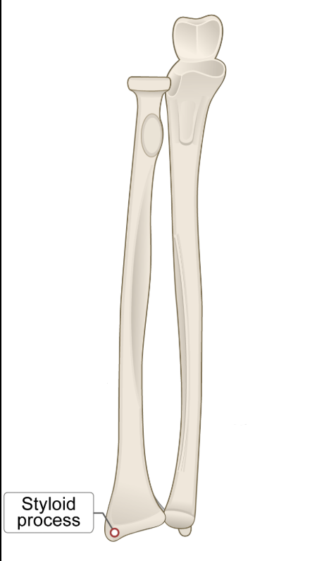 <p>which one is which</p>