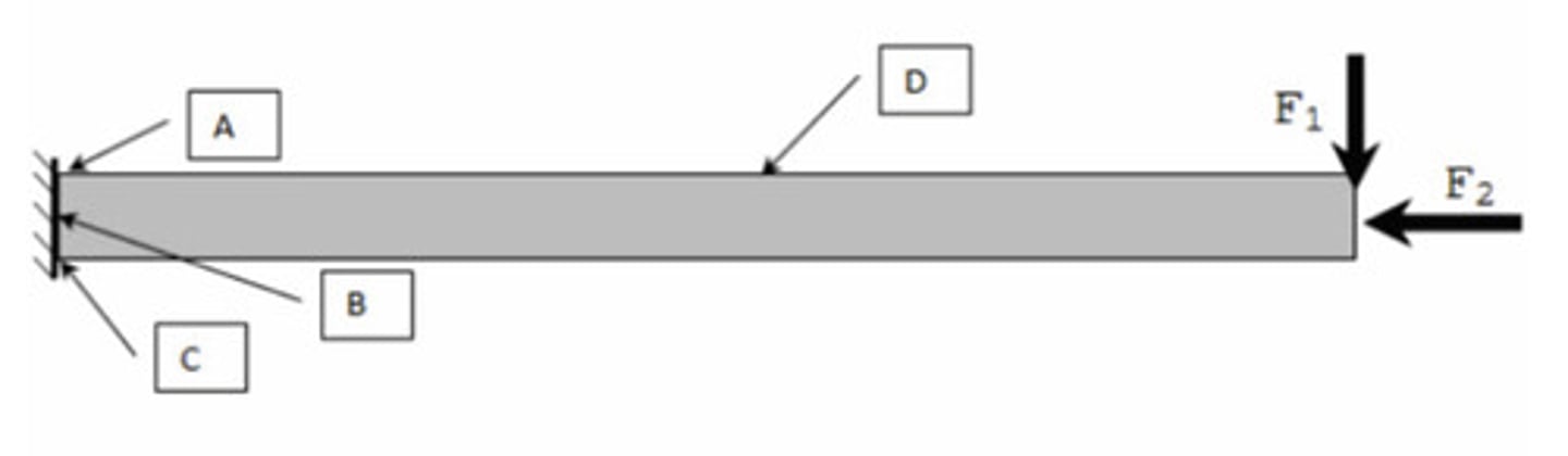 <p>C. C</p>