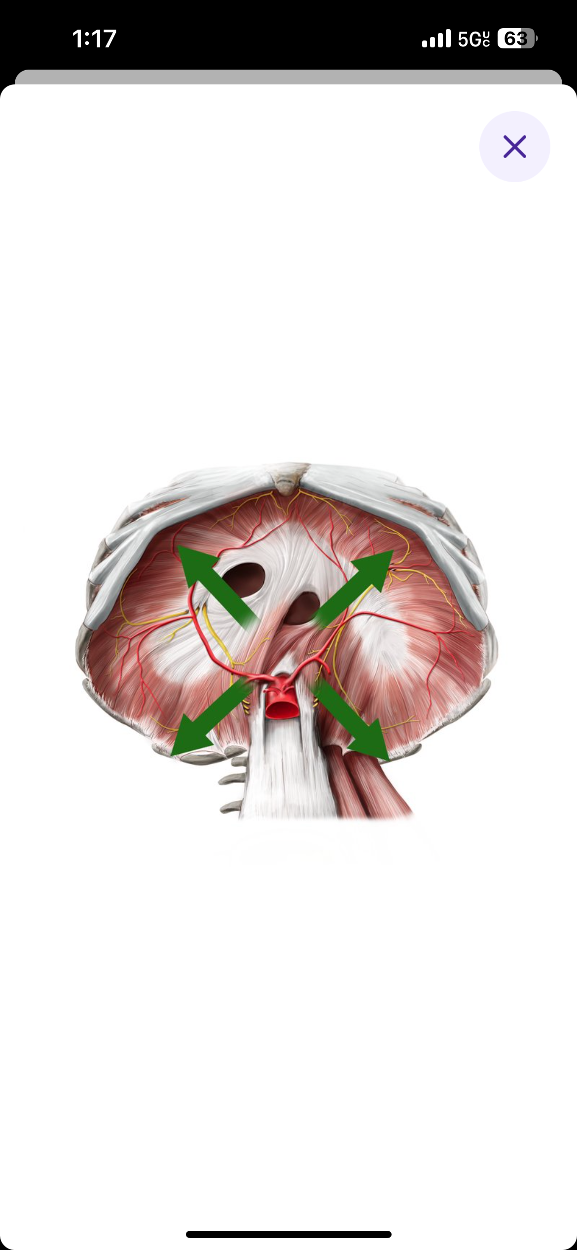 <p>Away from the center of the body/organs</p>