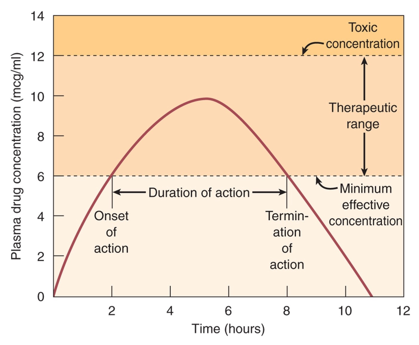 <p>How do we determine the duration of action of the drug from the graph?</p>