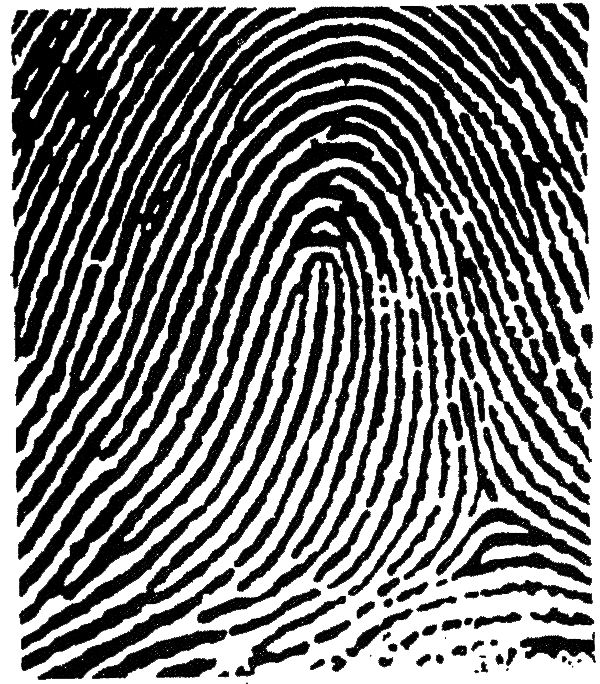 <p>?</p>