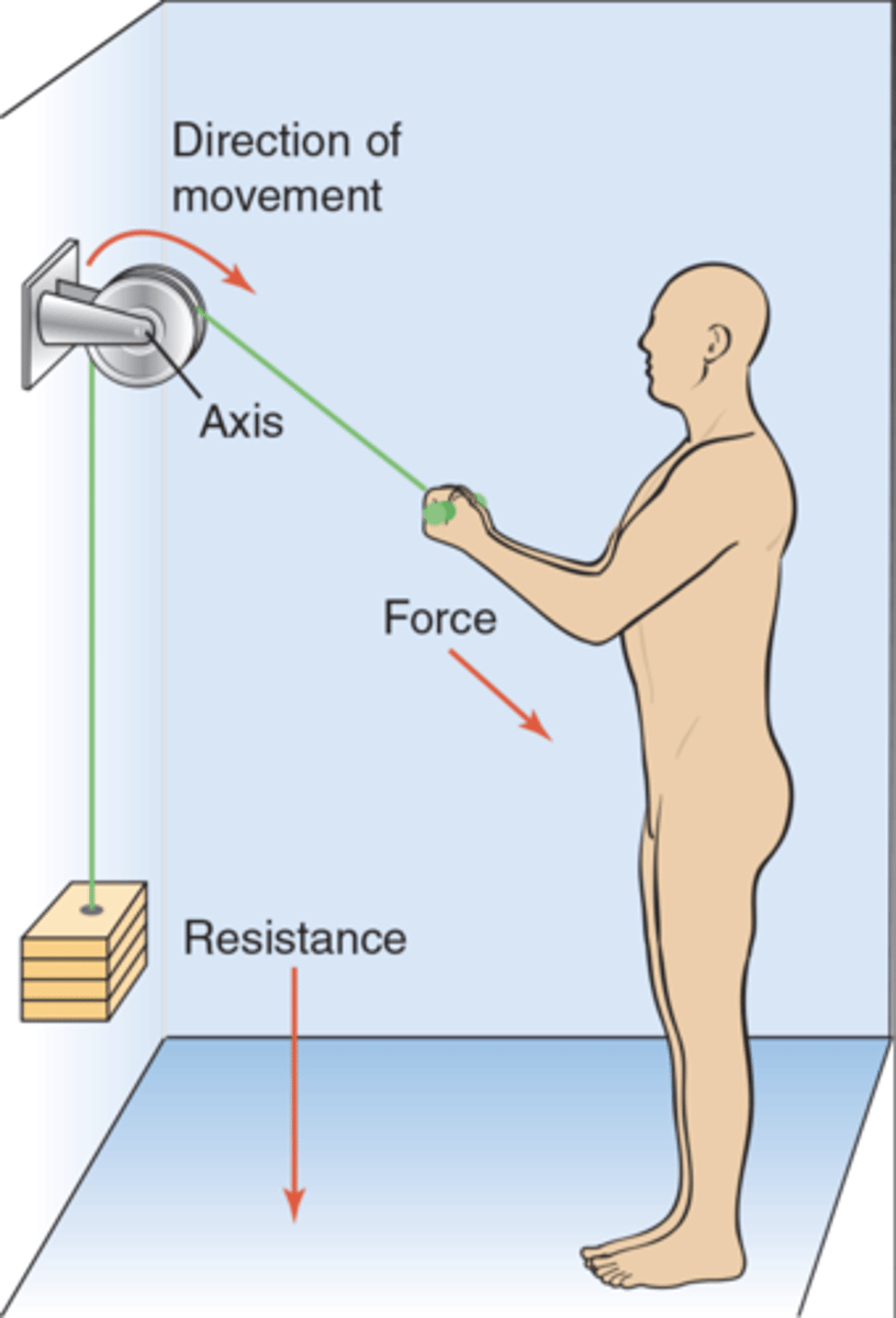 <p>A pulley attached to a surface that only changes the direction of force. Example: lateral malleolus acting on fibularis longus.</p>