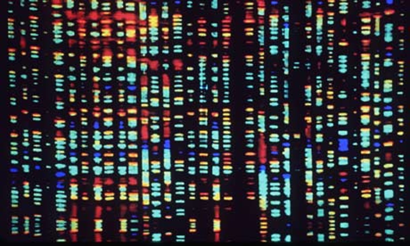 <p>The complete instructions for making an organism, consisting of all the genetic material in that organism's chromosomes.</p>