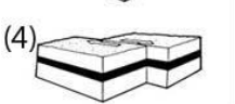 <p>Fault type</p>