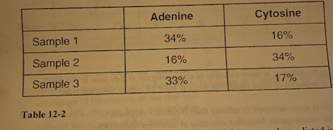 Three samples of DNA contain the percentages of nitrogenous bases listed in Table 12-2. According to Chargaff's law, which two samples probably belong to the same species?