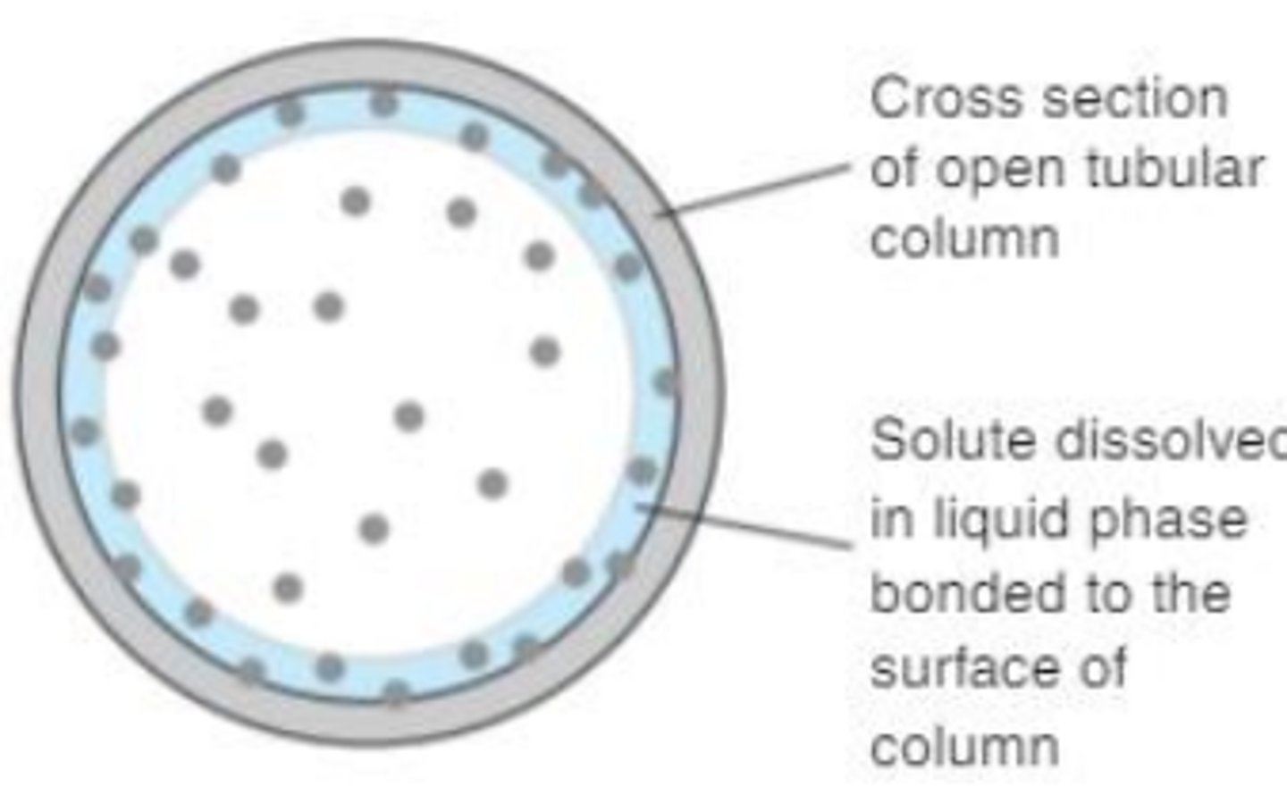 <p>solute dissolved in liquid phase bonded to the surface of the column</p>