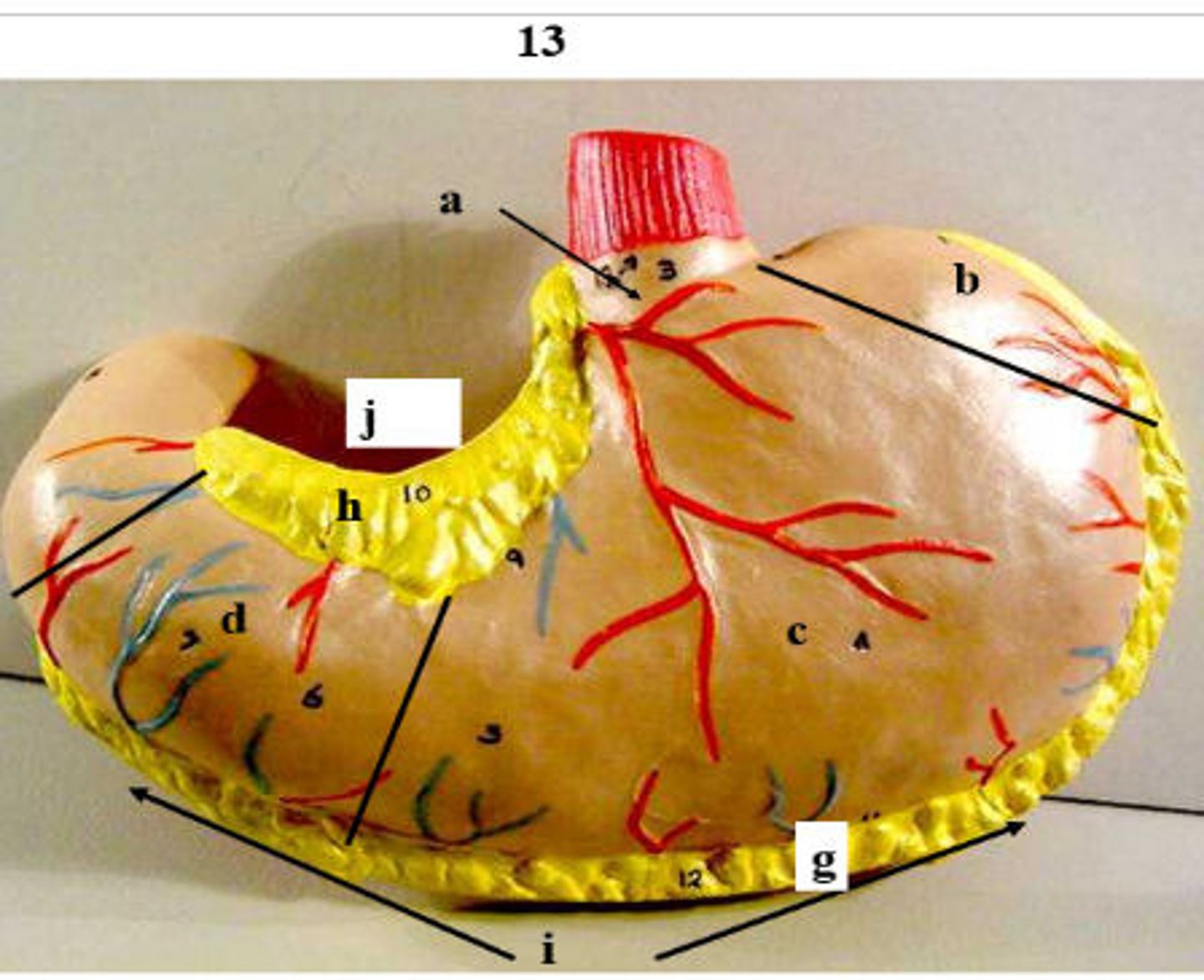 <p>What is 13i?</p>