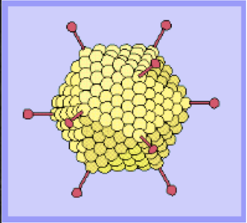 covered in glycoproteins