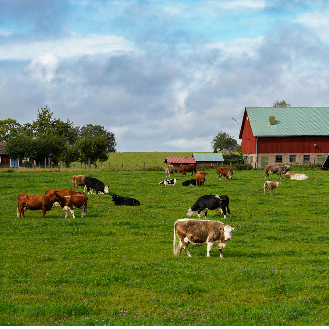 Where does she work ?