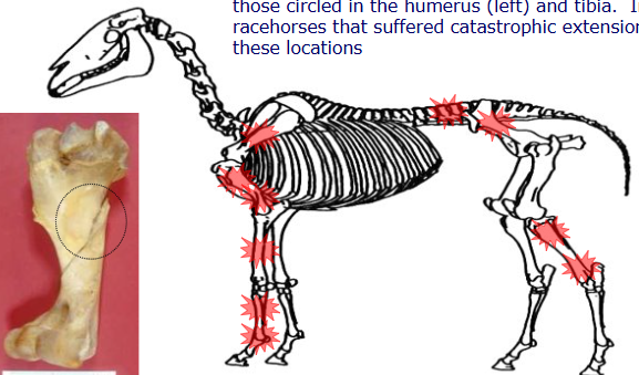 <p></p><p></p>