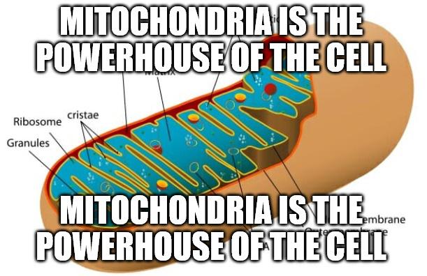 <p>In which chapter do you find the cell’s structure and anatomy?</p>