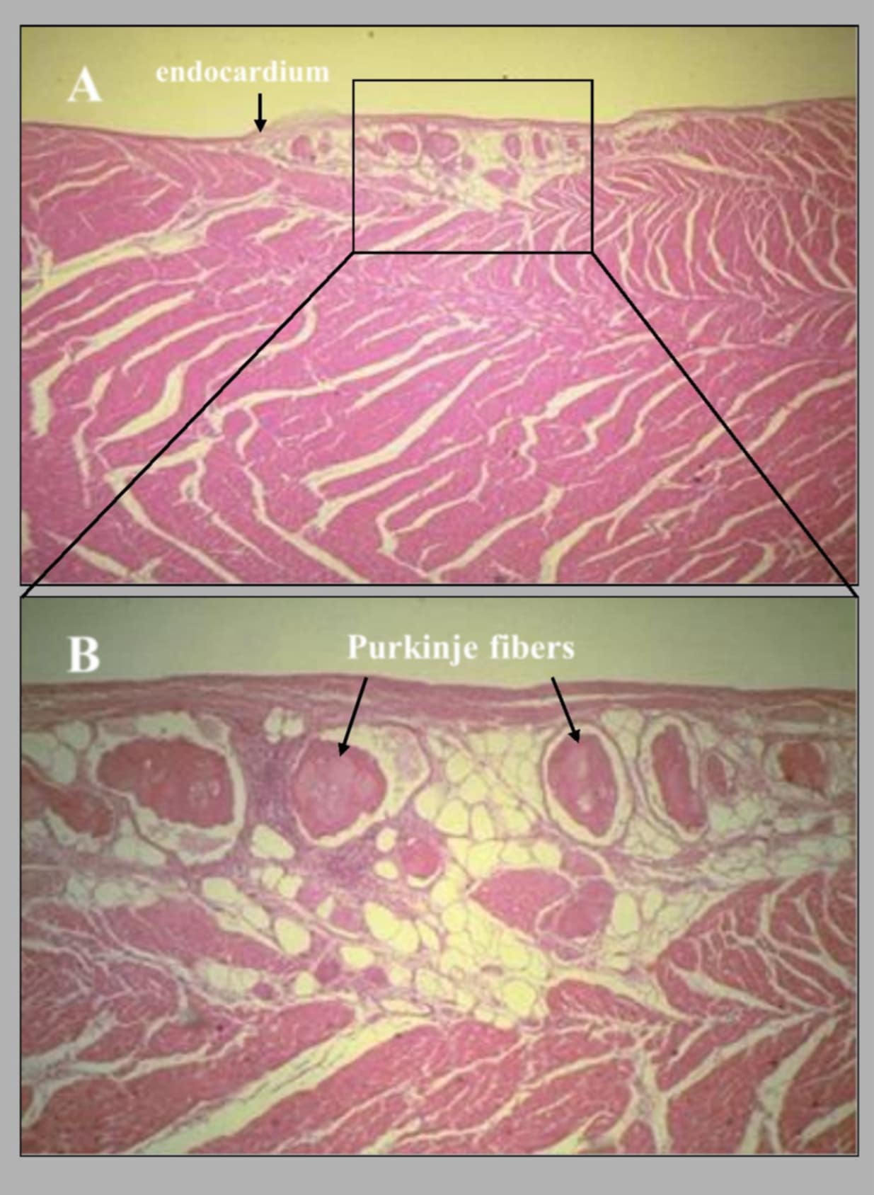 <p>Name this slide.</p>