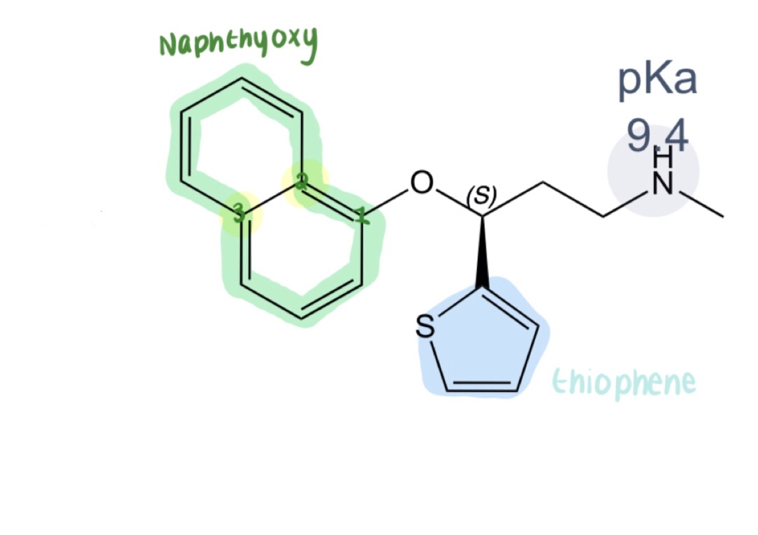 <p>1) What drug is this</p><p>2) How can you tell by the structure</p><p>3) SERT or NET? How do you know </p><p></p>