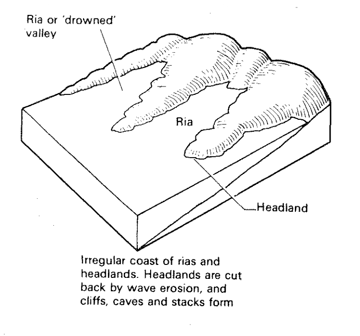 <p>What will this coastline look like in late maturity?</p>
