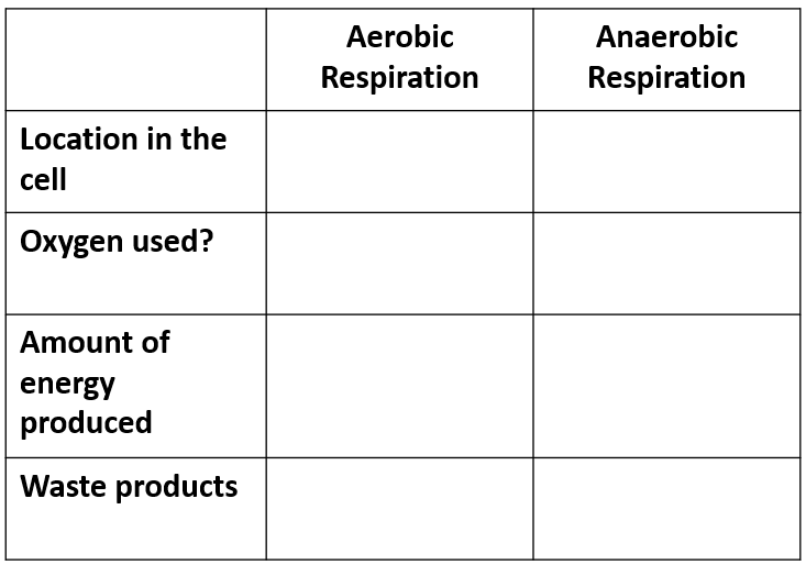 <p>Aerobic vs Anaerobic respiration table comparison </p>