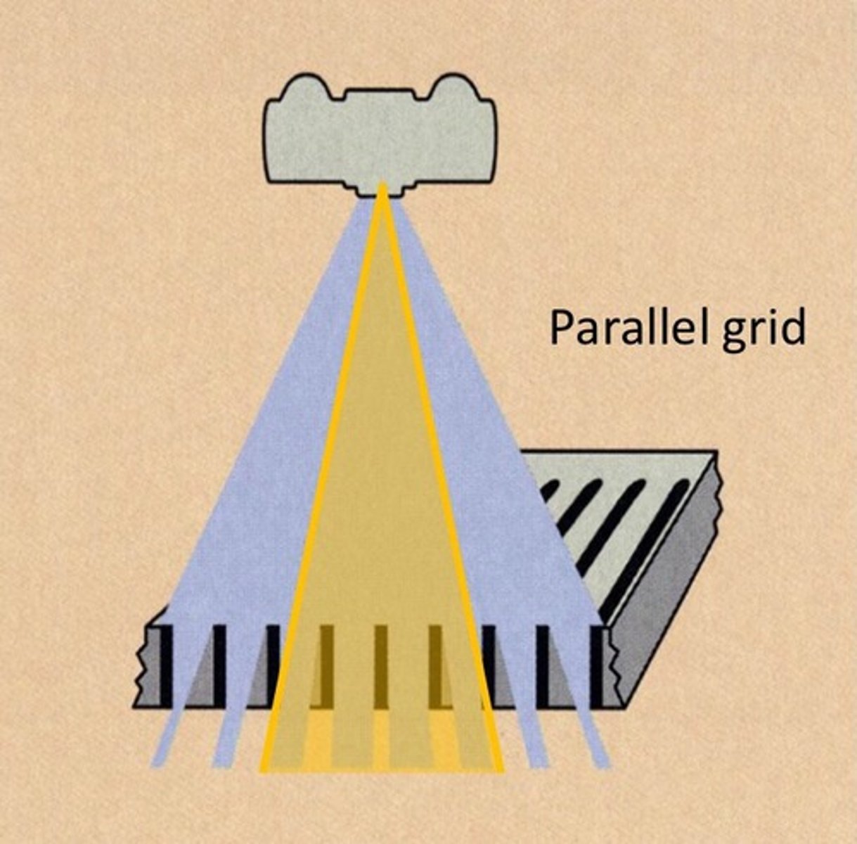 <p>All lead strips are parallel</p>