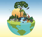 <p>Biodiversity is critical to a healthy ecosystem and even a healthy Earth. Biodiversity is how diverse and how much variety a place or ecosystem has.</p>