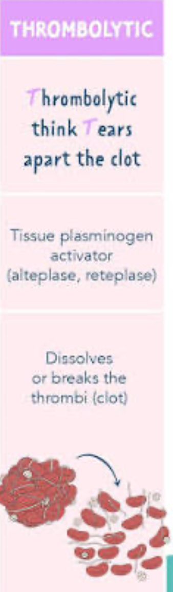 <p>-plase (plaTe)</p>