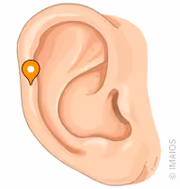 <p>what part of the ear is this</p>