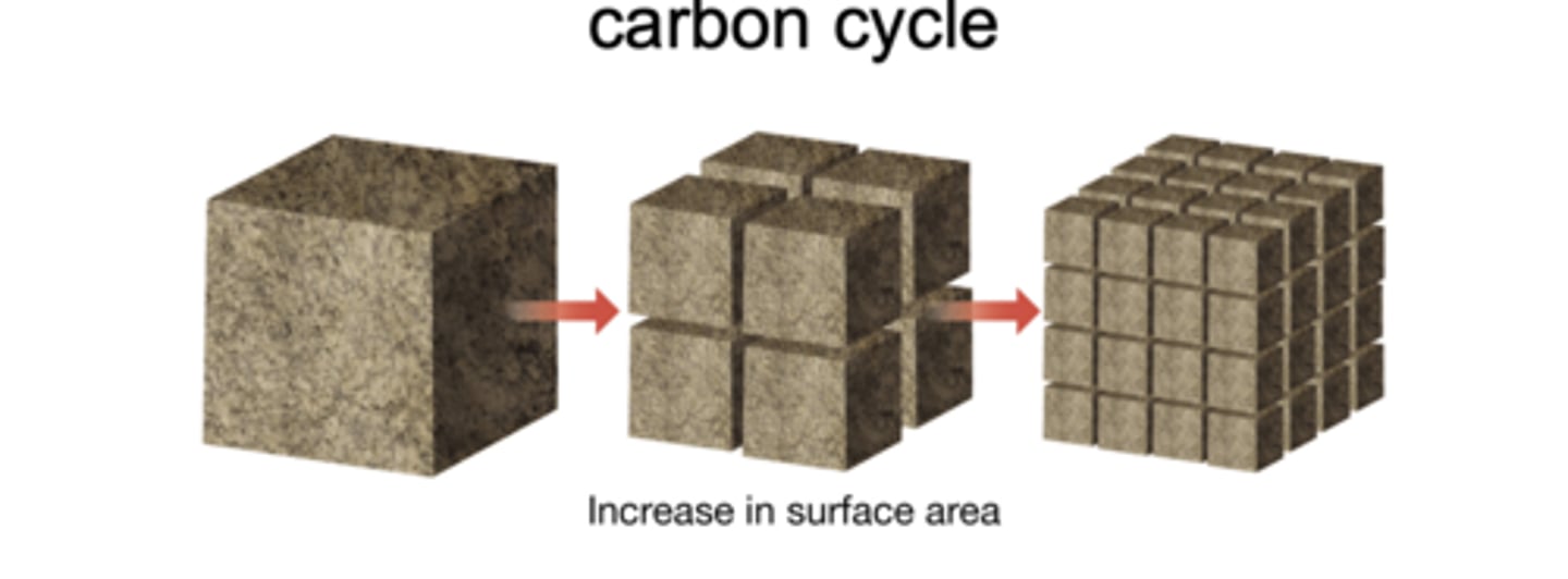 <p>The breakdown of rocks at Earth's surface into smaller particles or dissolved ions, which increase the rock's surface area and accelerates chemical reactions. It can occur through chemical, physical, or biological processes.</p><p>Weathering is essential to the inorganic carbon cycle because it removes CO₂ from the atmosphere: carbon dioxide reacts with water to form carbonic acid, which dissolves silicate and carbonate rocks. This dissolved material is transported to the ocean, where it ultimately becomes part of carbonate minerals and sedimentary rocks, storing carbon on million-year timescales.</p>