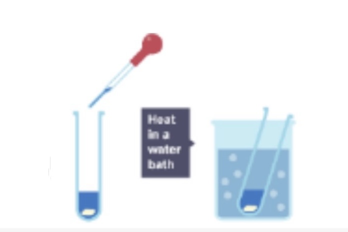 <p>Which solution is being used in this investigation?</p>