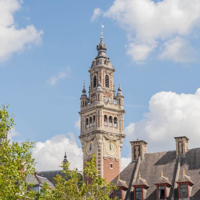 <p>Quelle est l’histoire de cette image ? </p>