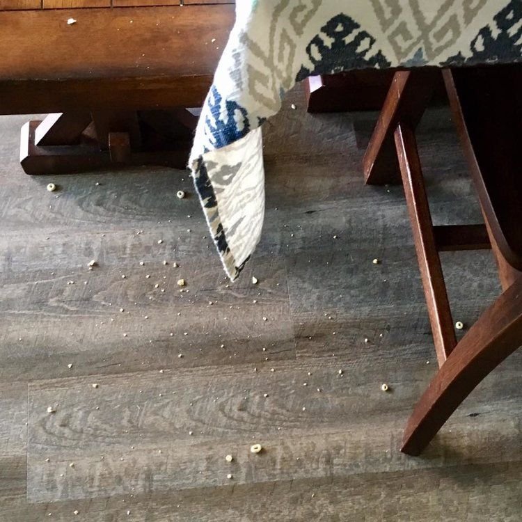 <p>tôi đã nhận một số <strong><u>lời chỉ trích</u></strong> về sàn nhà bẩn.</p>