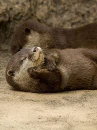 <p><span>a filtering mechanism of the capillaries that carry blood to the brain and spinal cord tissue that protects the brain from "foreign substances," hormones, and neurotransmitters in the rest of the body and maintains a constant environment for the brain.</span></p>