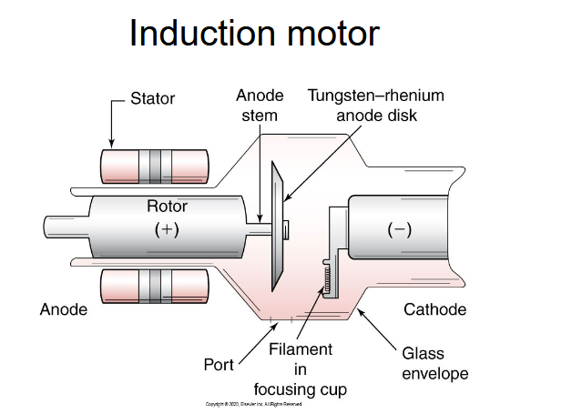 <p>What are the structures in the induction motor</p>