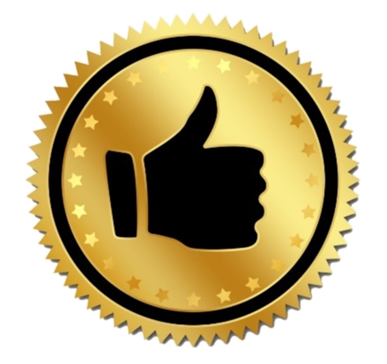 <p>a method or technique that has consistently shown results superior to those achieved by other means</p>