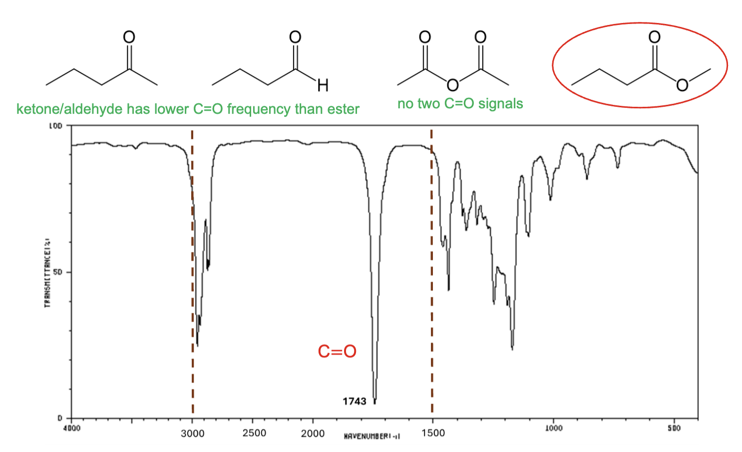 <p>An ester, due to the sharp strong carbonyl signal around 1735 <mark data-color="rgba(0, 0, 0, 0)" style="background-color: rgba(0, 0, 0, 0); color: inherit;">cm<sup>-1</sup></mark><span>, and the C-H stretch signals just below 3000 </span><mark data-color="rgba(0, 0, 0, 0)" style="background-color: rgba(0, 0, 0, 0); color: inherit;">cm<sup>-1</sup></mark><span>. </span></p>