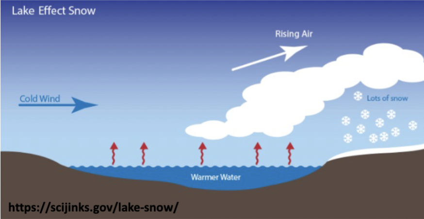 impacts a region sitting next to a warm body of water

* cold air moves over a warm lake, causing heat and moisture to transfer from the water to the atmosphere
* leads to cloud formation and lots of precipitation as it moves over the other side of the lake