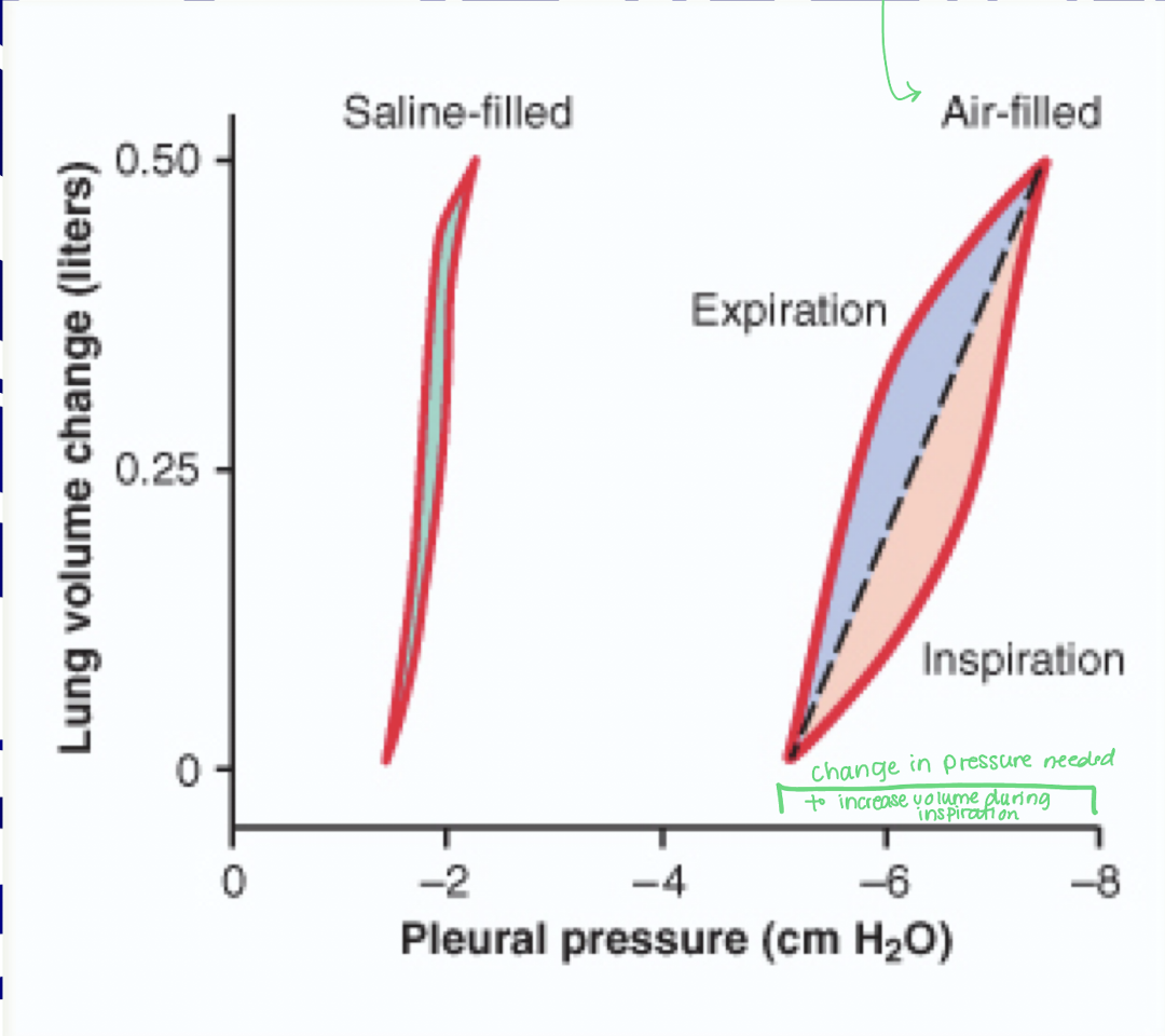 <p>Elastic force of <strong>lung tissue a</strong>nd elastic force caused by s<strong>urface tension</strong> of the fluid lining the alveoli.</p><ul><li><p>increase in surface area = increase in ability of alveoli to contract on itself </p><ul><li><p>occurs in air filled lungs and it will take a greater amount of pleural pressure to increase volume during inspiration because surface tension makes compliance harder</p></li><li><p>Saline filled has NO surface tension because it has less compliance, less surface tension to overcome to inflate</p></li></ul></li></ul><p></p>
