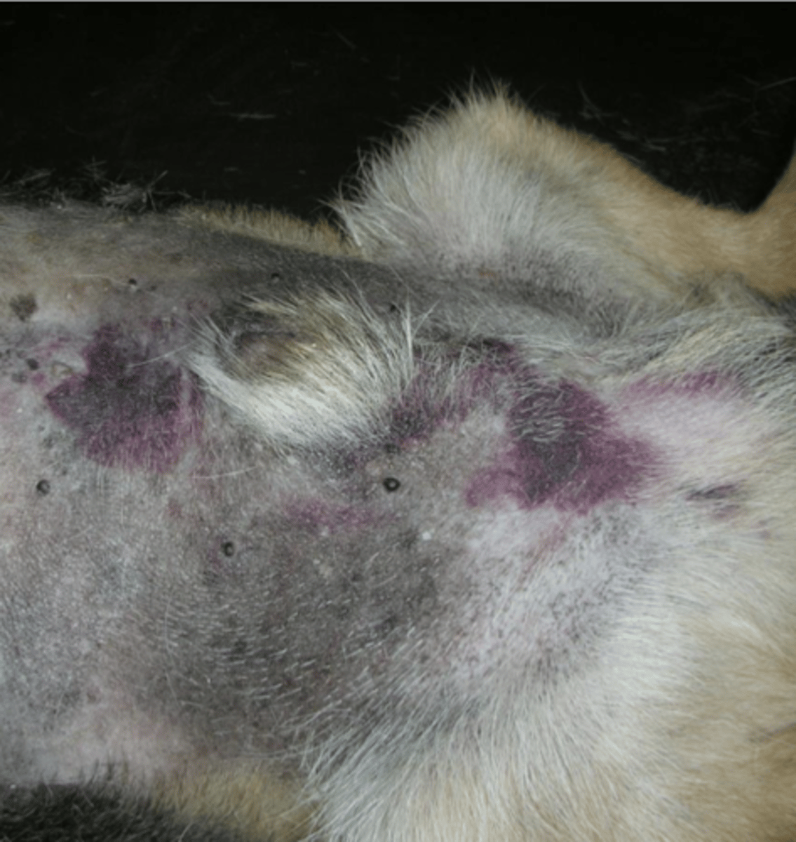 <p>what is this?</p>