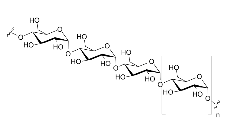 Polysaccharide