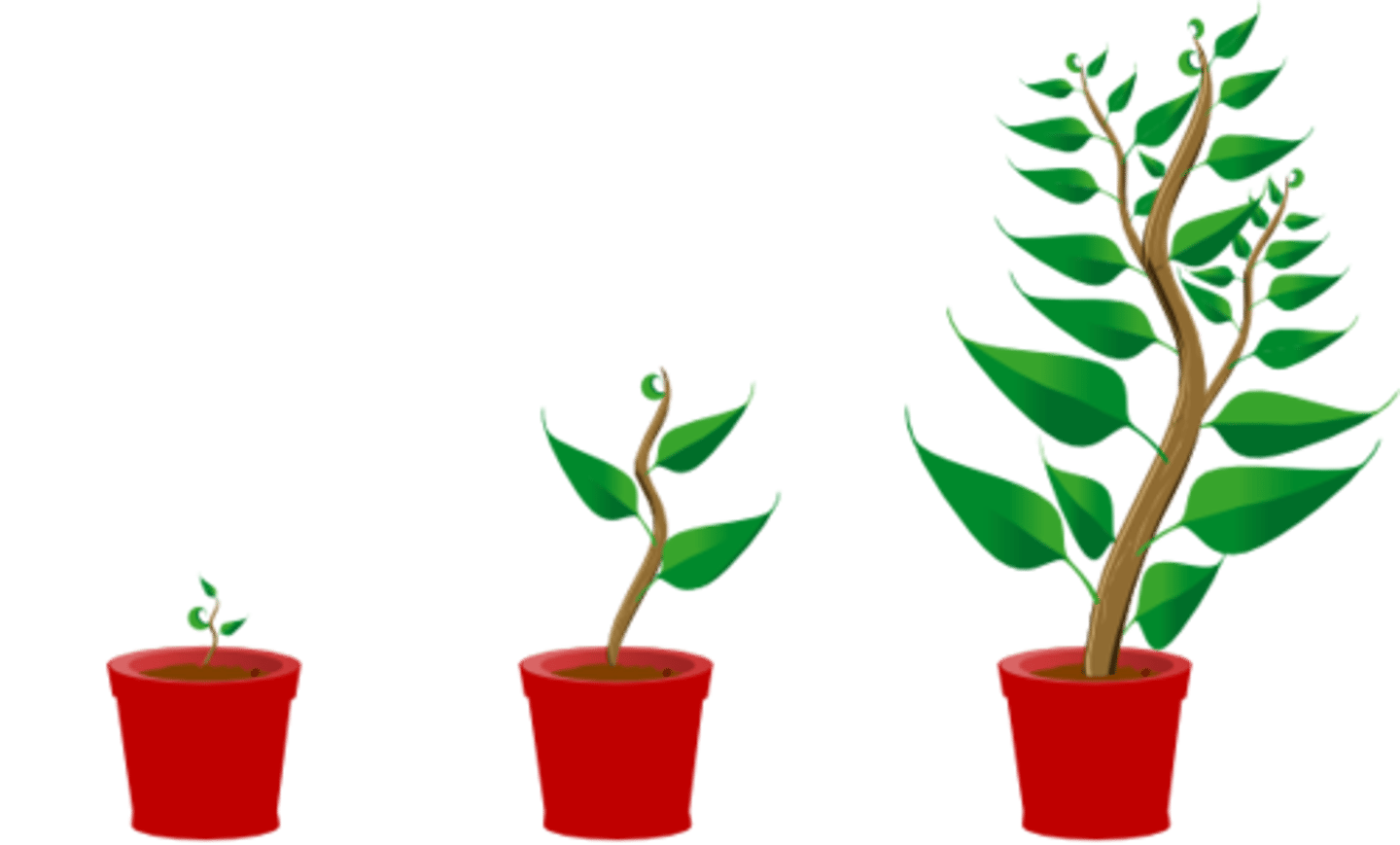 <p>Examples include a plant getting bigger or you growing taller</p>