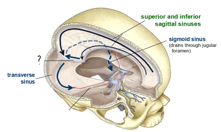 <p>what is this?</p>
