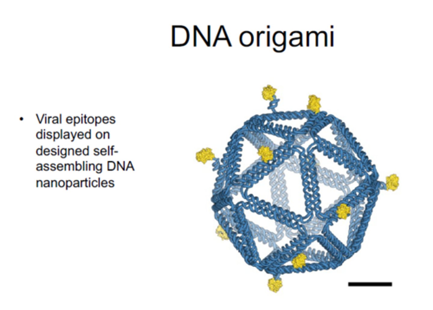 <p>folding of DNA at the nanoscale level to create complex structures</p>