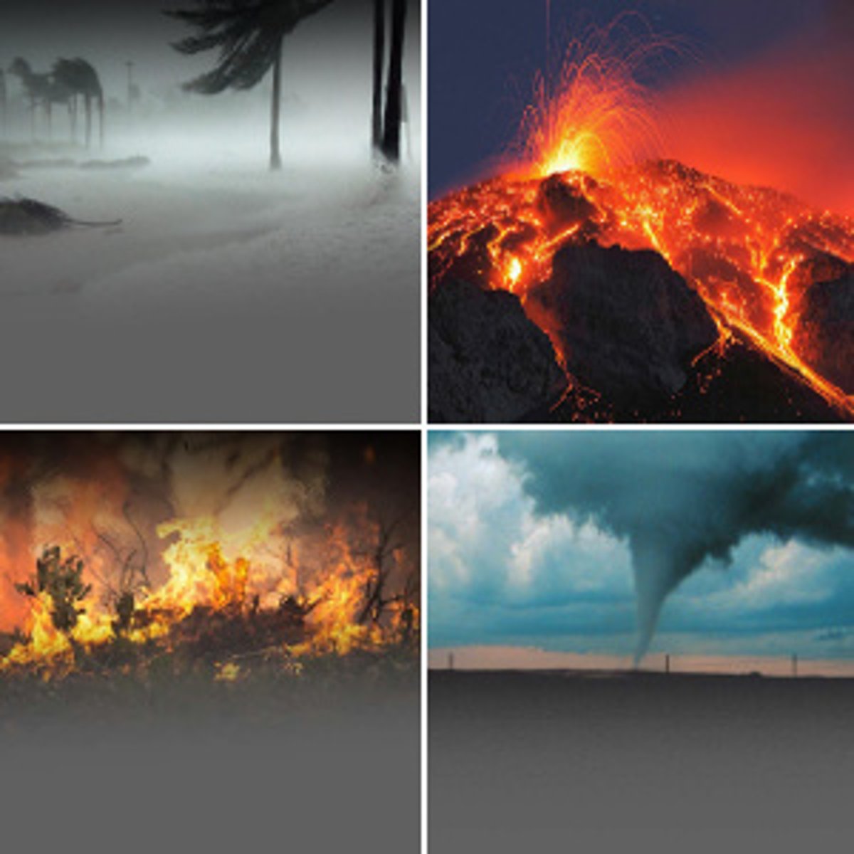 <p>катастрофа</p>