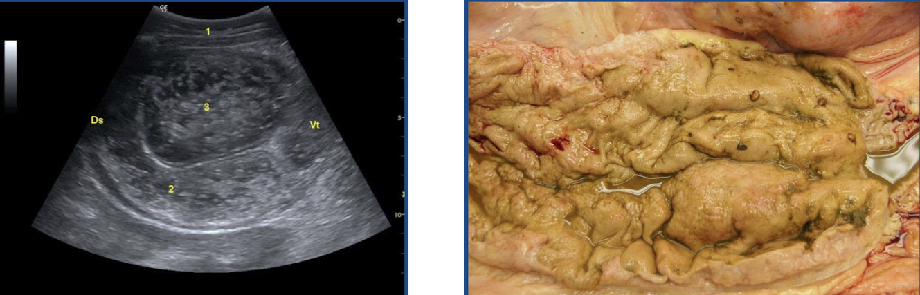 <p>What is this showing?</p>